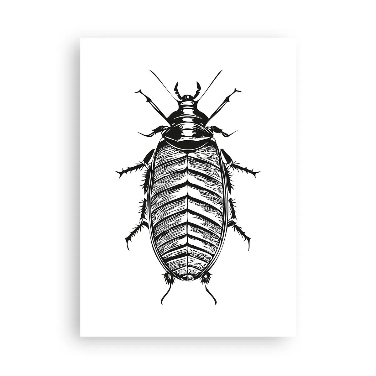 Póster - Ilustración en blanco y negro de un insecto en un estilo minorista. - 50x70cm - ¡Qué espécimen! - Decoración de pared moderna para salón y dormitorio ARTTOR