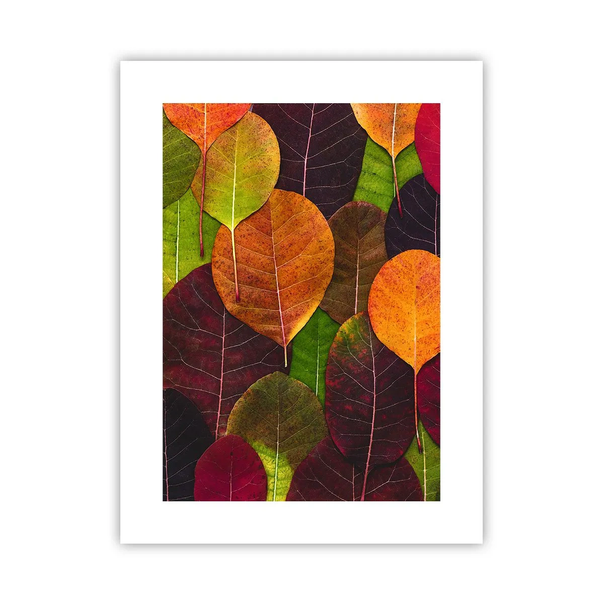 Póster - Mosaico de otoño - 30x40 cm