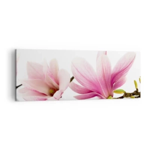 Cuadro sobre lienzo - Impresión de Imagen - Delicadas magnolias rosas sobre un fondo blanco. - 140x50cm - Suave como un soplo de primavera - Decoración de pared moderna para salón y dormitorio ARTTOR