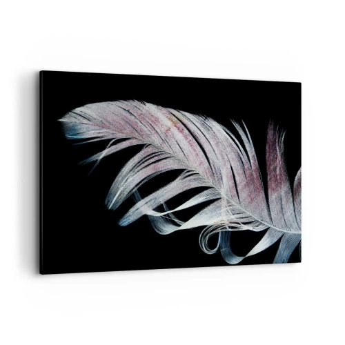 Cuadro sobre lienzo - Impresión de Imagen - Una delicada pluma sobre un fondo negro en un enfoque artístico. - 120x80cm - Piensa en el tacto - Decoración de pared moderna para salón y dormitorio ARTTOR