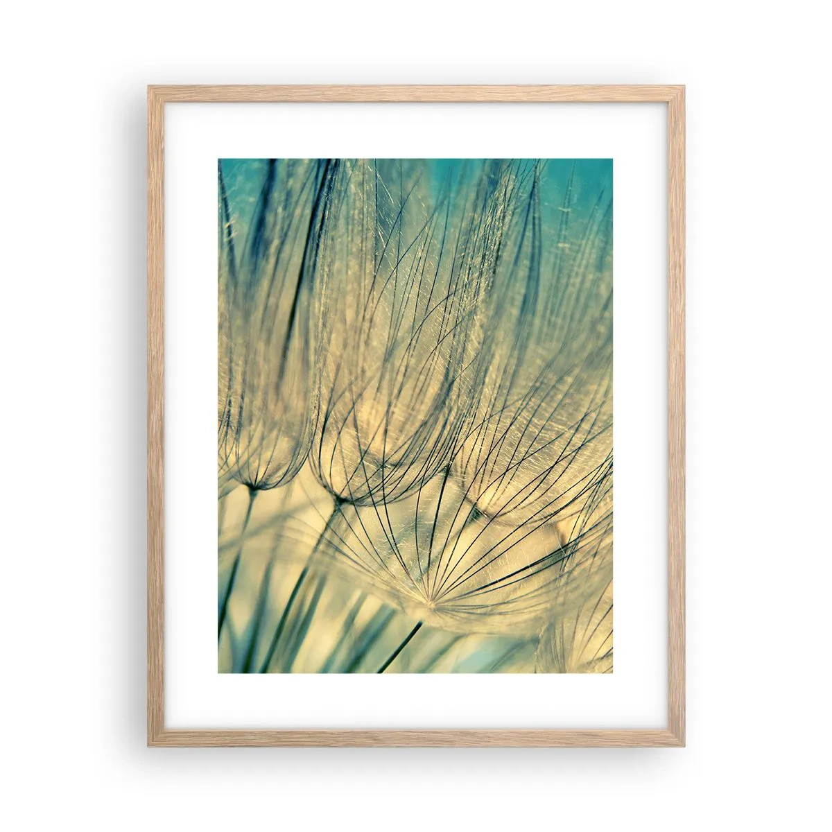 Póster en marco roble claro - Esperando el viento - 40x50 cm