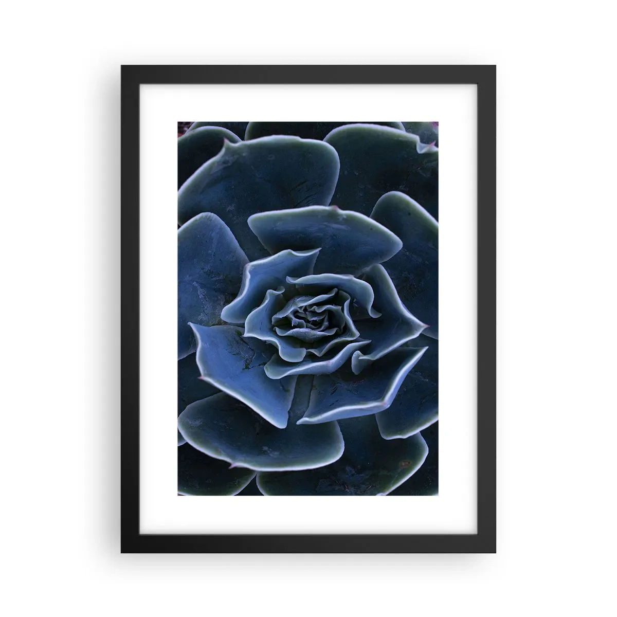 Póster en marco negro - Flor del desierto - 30x40 cm