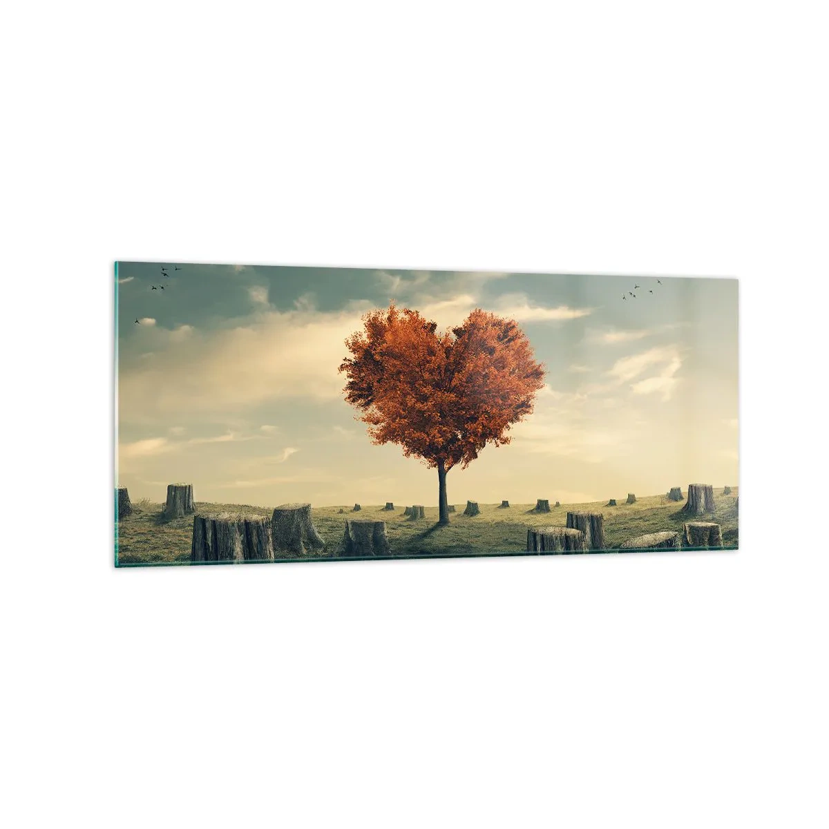 Cuadro sobre vidrio - Impresiones sobre Vidrio - Un árbol en forma de corazón en un campo de tocones, símbolo de esperanza. - 120x50cm - Todavía hay esperanza - Decoración de pared moderna para salón y dormitorio ARTTOR