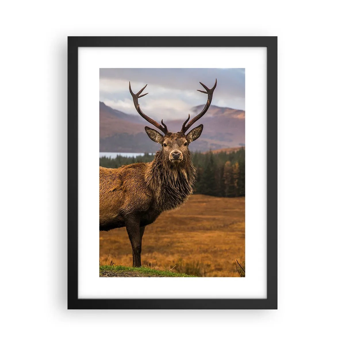 Póster en marco negro - La majestuosidad de la naturaleza - 30x40 cm