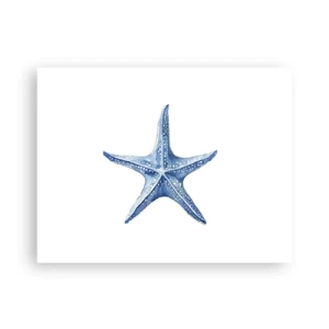 Póster - Estrella de mar - 40x30 cm