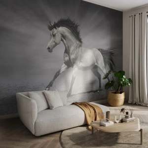Fotomural Premium Sand - Un caballo blanco y negro corriendo sobre un fondo desértico. - 100x70cm - Nacido para deleitar - Decoración de pared moderna para salón y dormitorio ARTTOR