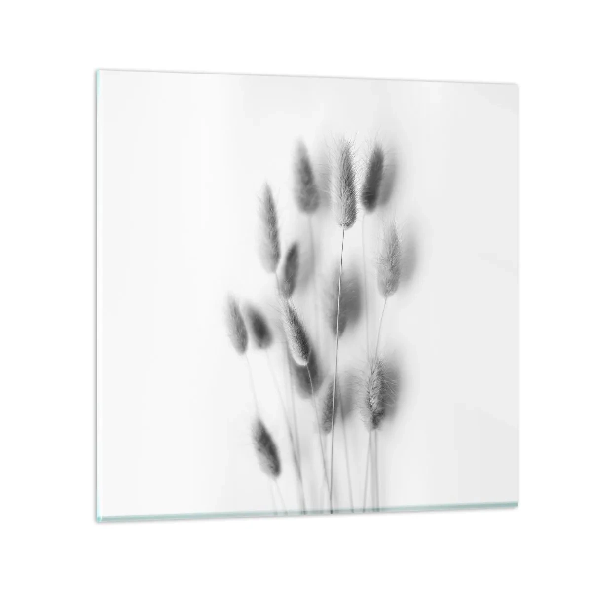 Cuadro sobre vidrio - Impresiones sobre Vidrio - Esponjas naturales - 60x60 cm