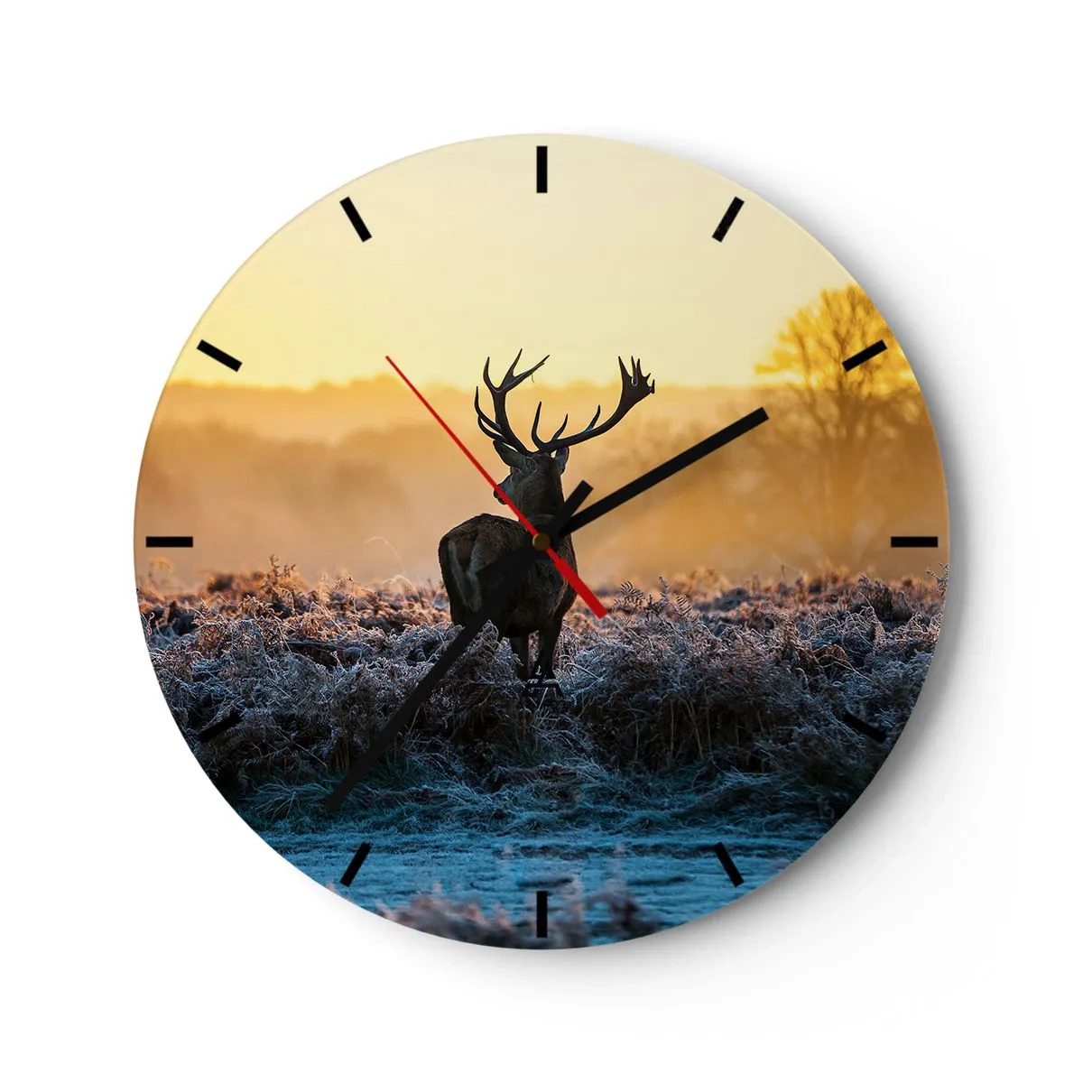 Reloj de pared - Reloj de vidrio - Coronado en sus propios dominios - 40x40 cm