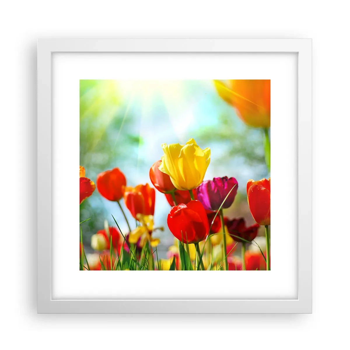 Póster en marco blanco - Todos los tonos del sol - 30x30 cm