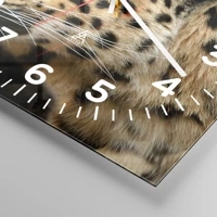 Esfera con numeración