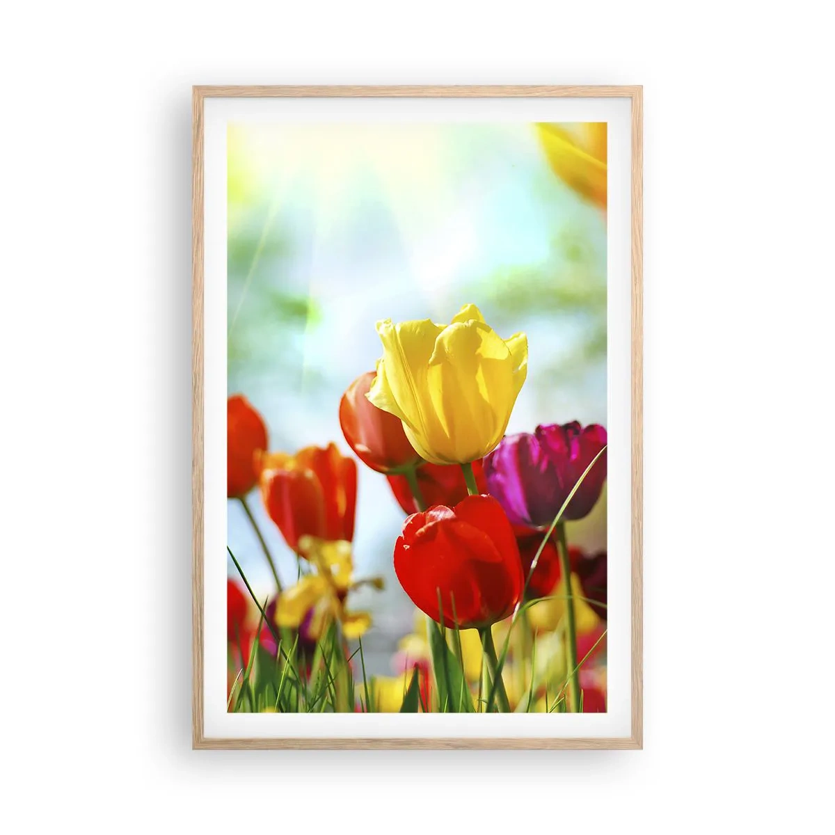 Póster en marco roble claro - Todos los tonos del sol - 61x91 cm