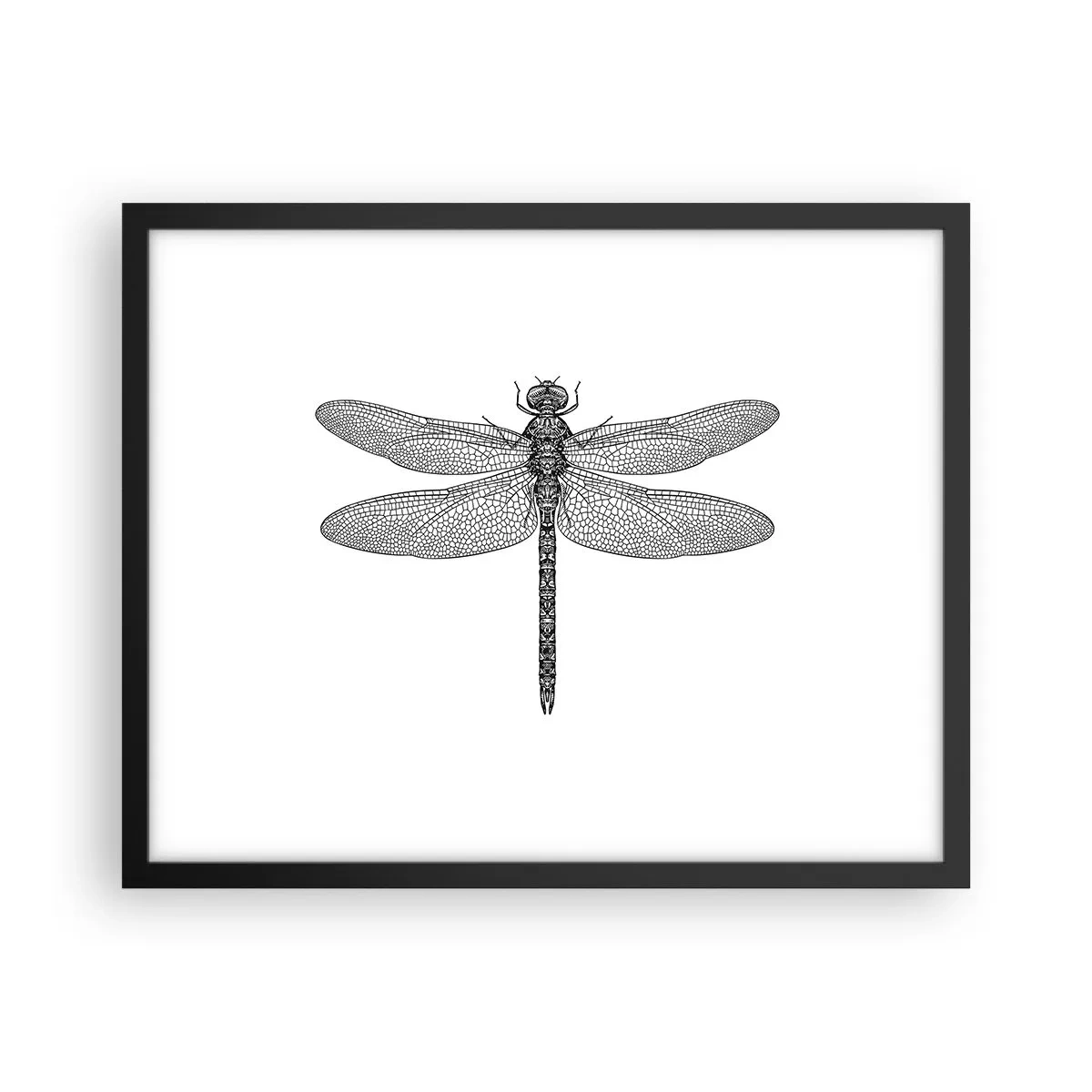 Póster en marco negro - Precisión de la naturaleza - 50x40 cm