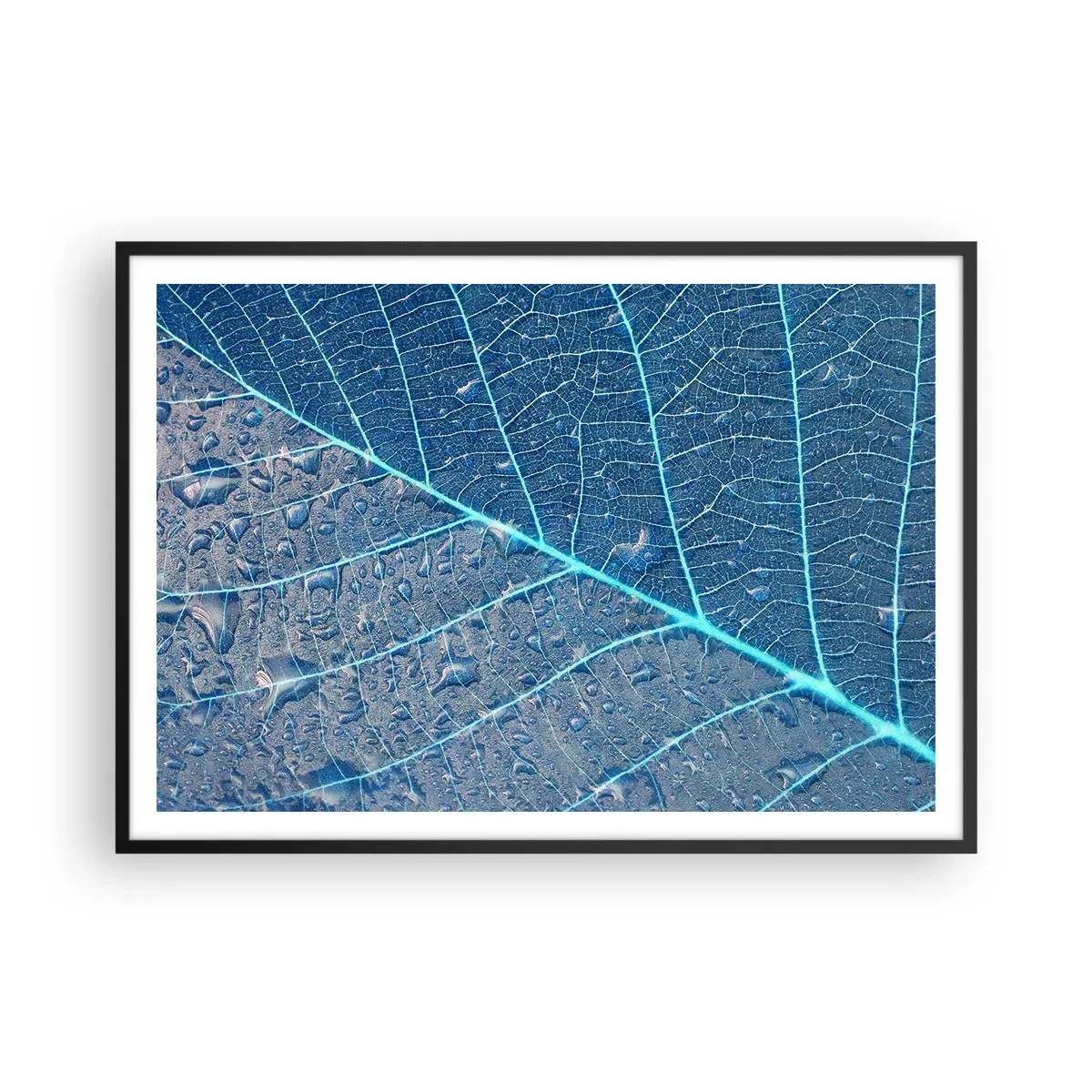 Póster en marco negro - Una hoja en tonos azules con gotas de agua. - 100x70cm - Vida en el azul - Decoración de pared moderna para salón y dormitorio ARTTOR