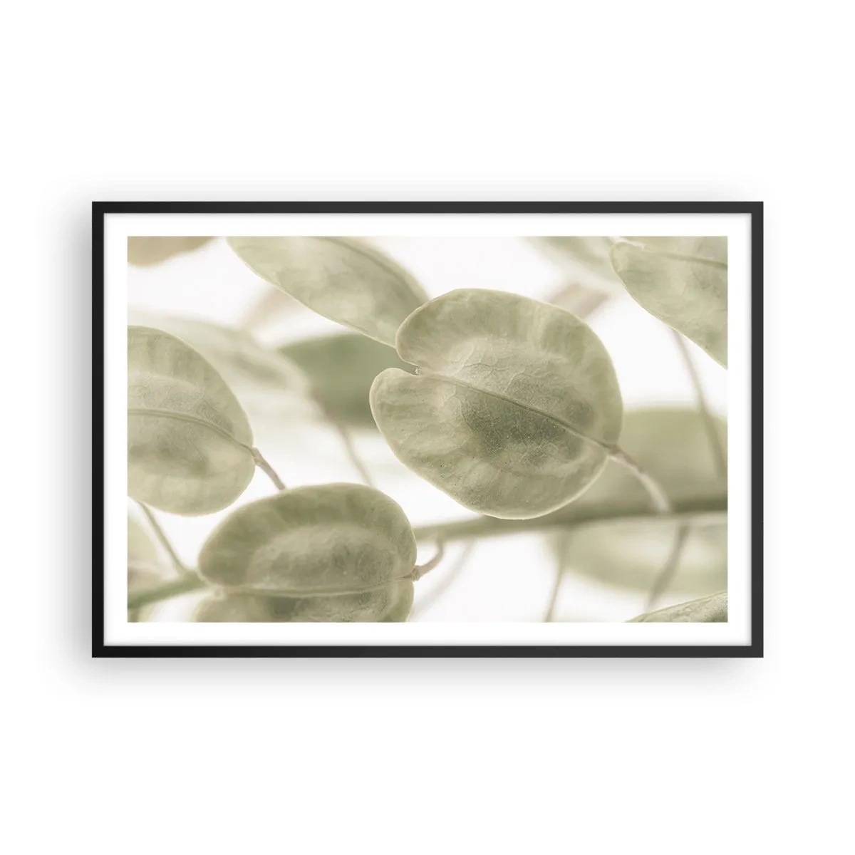 Póster en marco negro - Al principio de los tiempos había hojas... - 91x61 cm