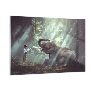 Cuadro sobre vidrio - Impresiones sobre Vidrio - Un niño con un libro y un elefante en un entorno forestal. - 120x80cm - Y escucha esto... - Decoración de pared moderna para salón y dormitorio ARTTOR