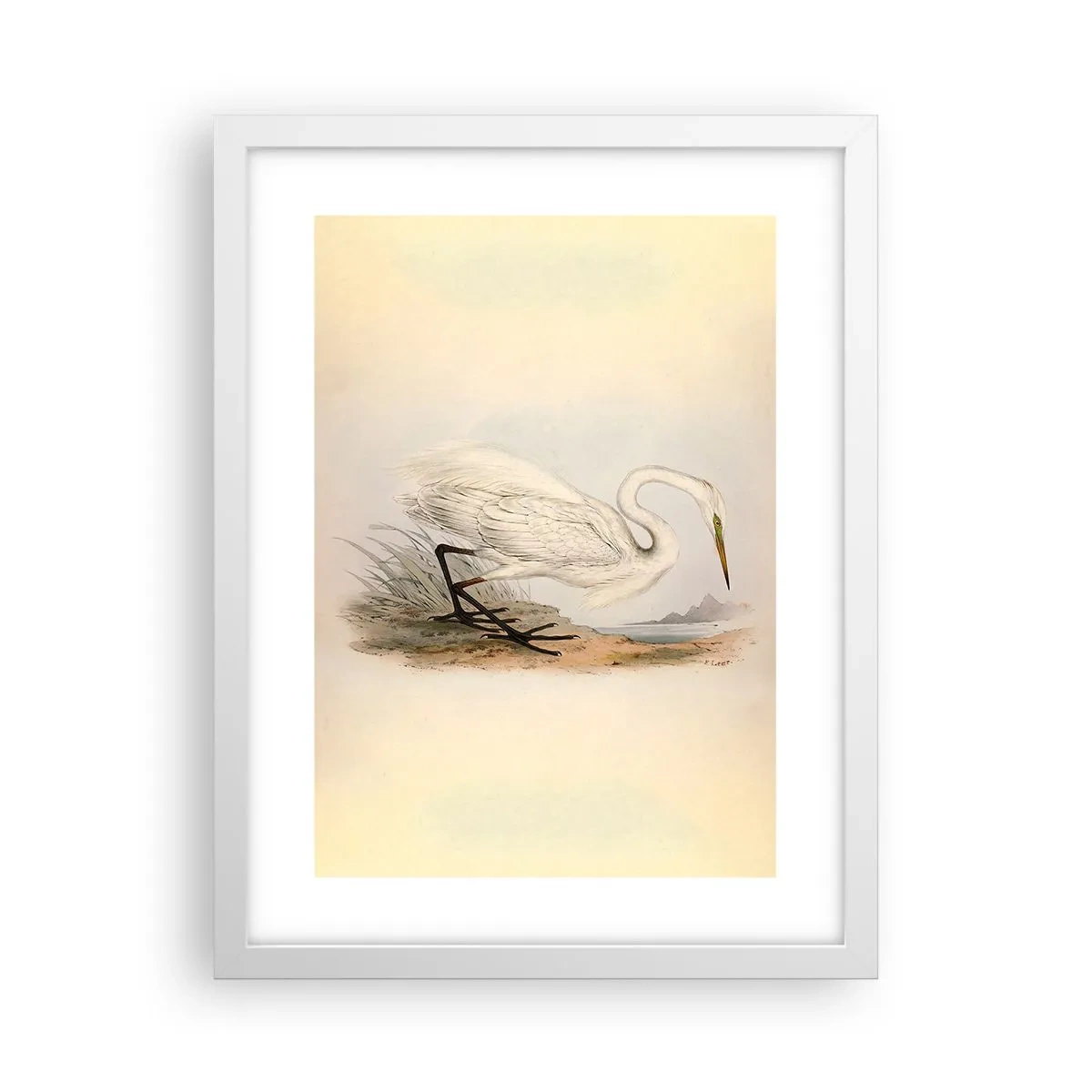 Póster en marco blanco - Dama de los juncos - 30x40 cm