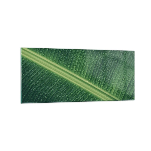 Cuadro sobre vidrio - Impresiones sobre Vidrio - Una hoja verde con gotas de agua en su superficie. - 120x50cm - Estructura del verde - Decoración de pared moderna para salón y dormitorio ARTTOR