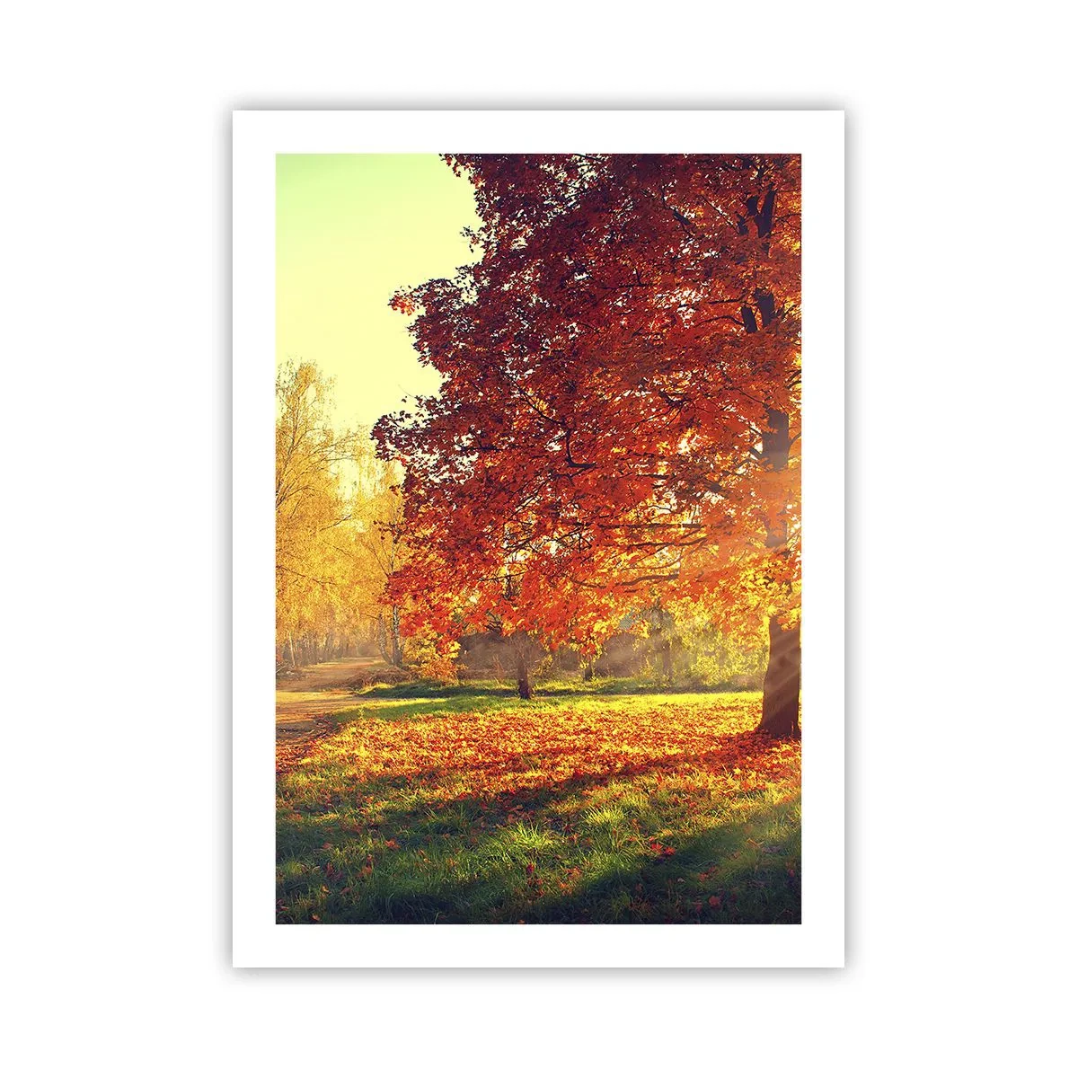 Póster - Parque otoñal con un árbol con hojas doradas al sol. - 50x70cm - El rojo es hermoso - Decoración de pared moderna para salón y dormitorio ARTTOR