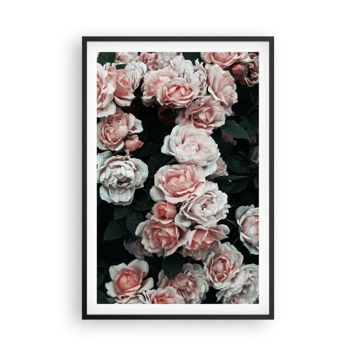 Póster en marco negro - Conjunto de rosas - 61x91 cm