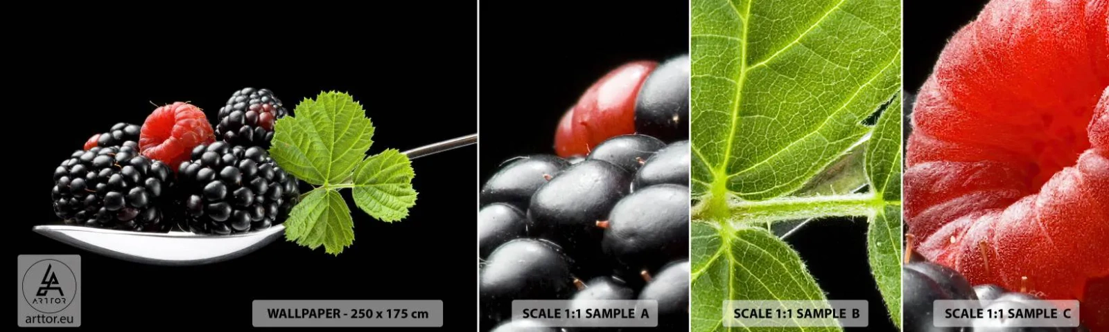 Muestra De Fotomural Standard Eco - El sabor de la frescura - Fruta, Mora, Frambuesa - 100x30 cm