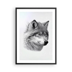 Póster en marco negro - Un retrato realista de un lobo en tonos de gris. - 50x70cm - Alfa - sin duda - Decoración de pared moderna para salón y dormitorio ARTTOR