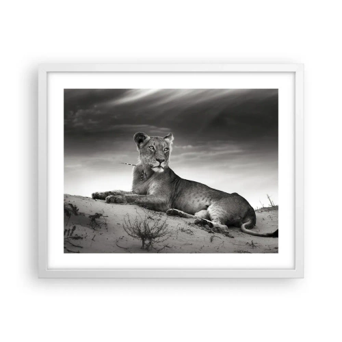 Póster en marco blanco - Descanso de la reina del desierto - 50x40 cm