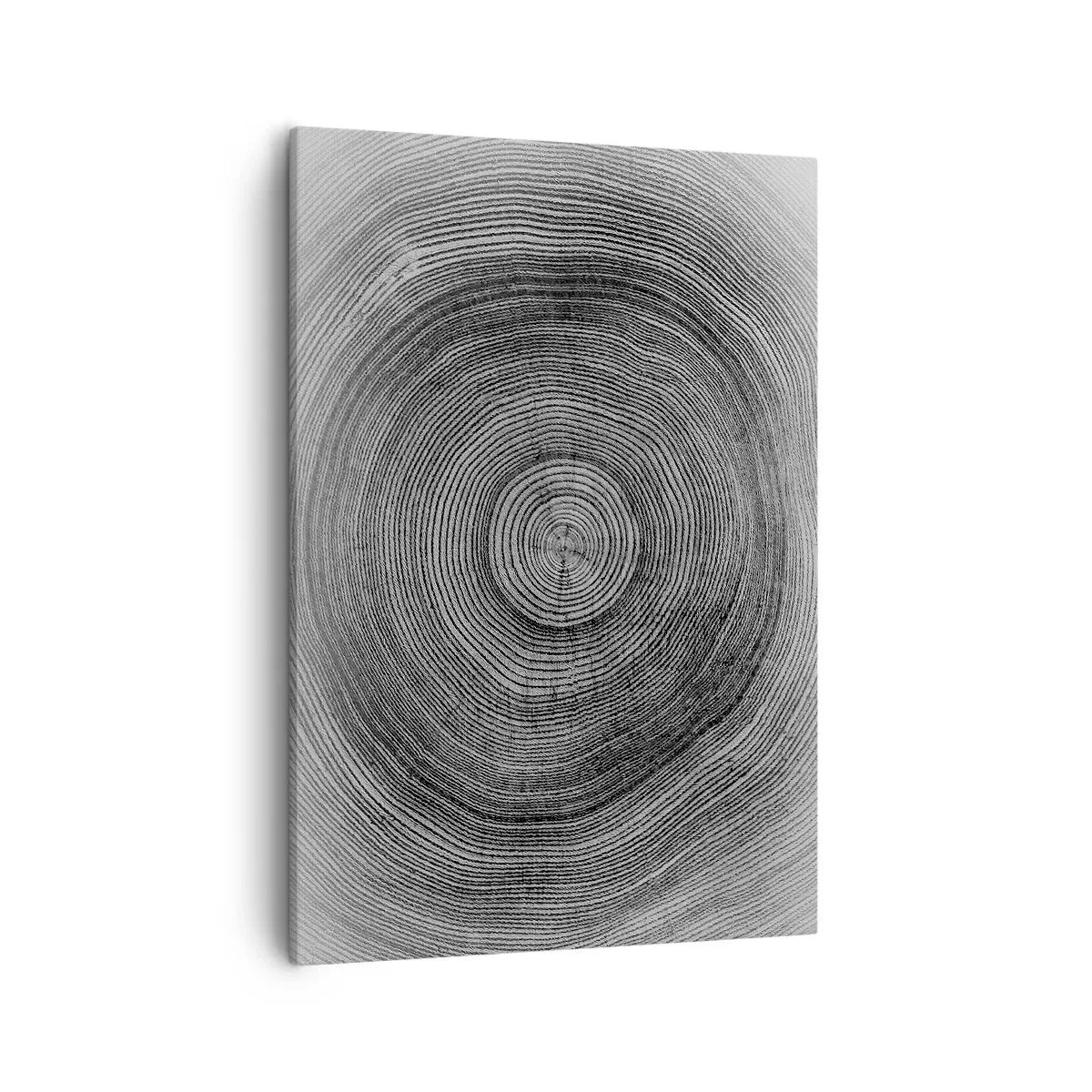 Cuadro sobre lienzo - Impresión de Imagen - Patrón de anillos de árboles en blanco y negro que muestra una sección transversal del tronco. - 50x70cm - El paso del tiempo - Decoración de pared moderna para salón y dormitorio ARTTOR