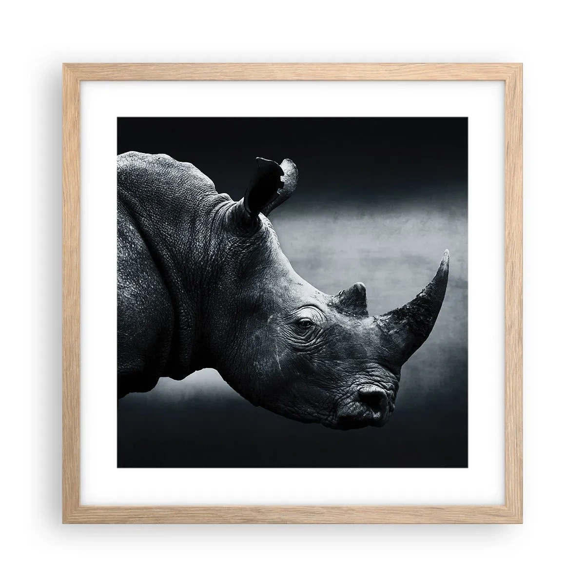 Póster en marco roble claro - Perfil derecho - 40x40 cm
