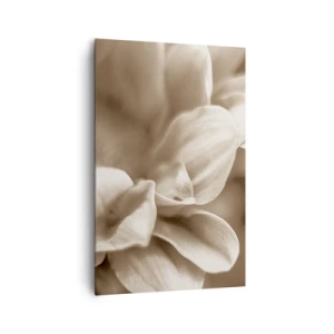 Cuadro sobre lienzo - Impresión de Imagen - Primer plano de flores en un delicado tono sepia con contornos suaves. - 80x120cm - Suave como una sonrisa - Decoración de pared moderna para salón y dormitorio ARTTOR