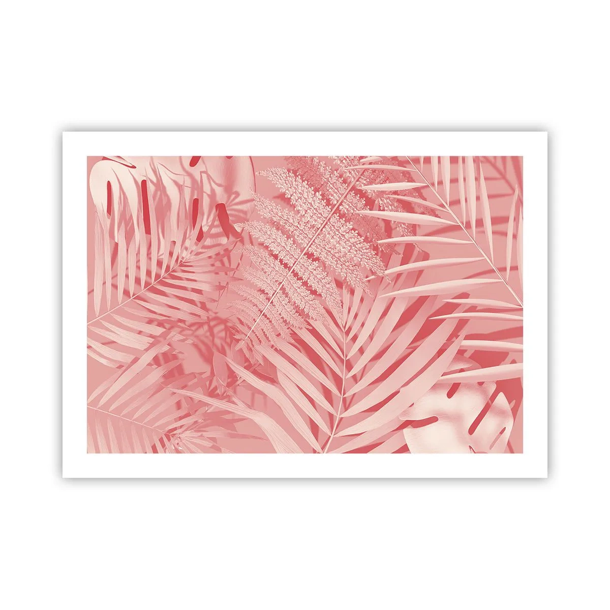 Póster - Concepto rosa - 70x50 cm