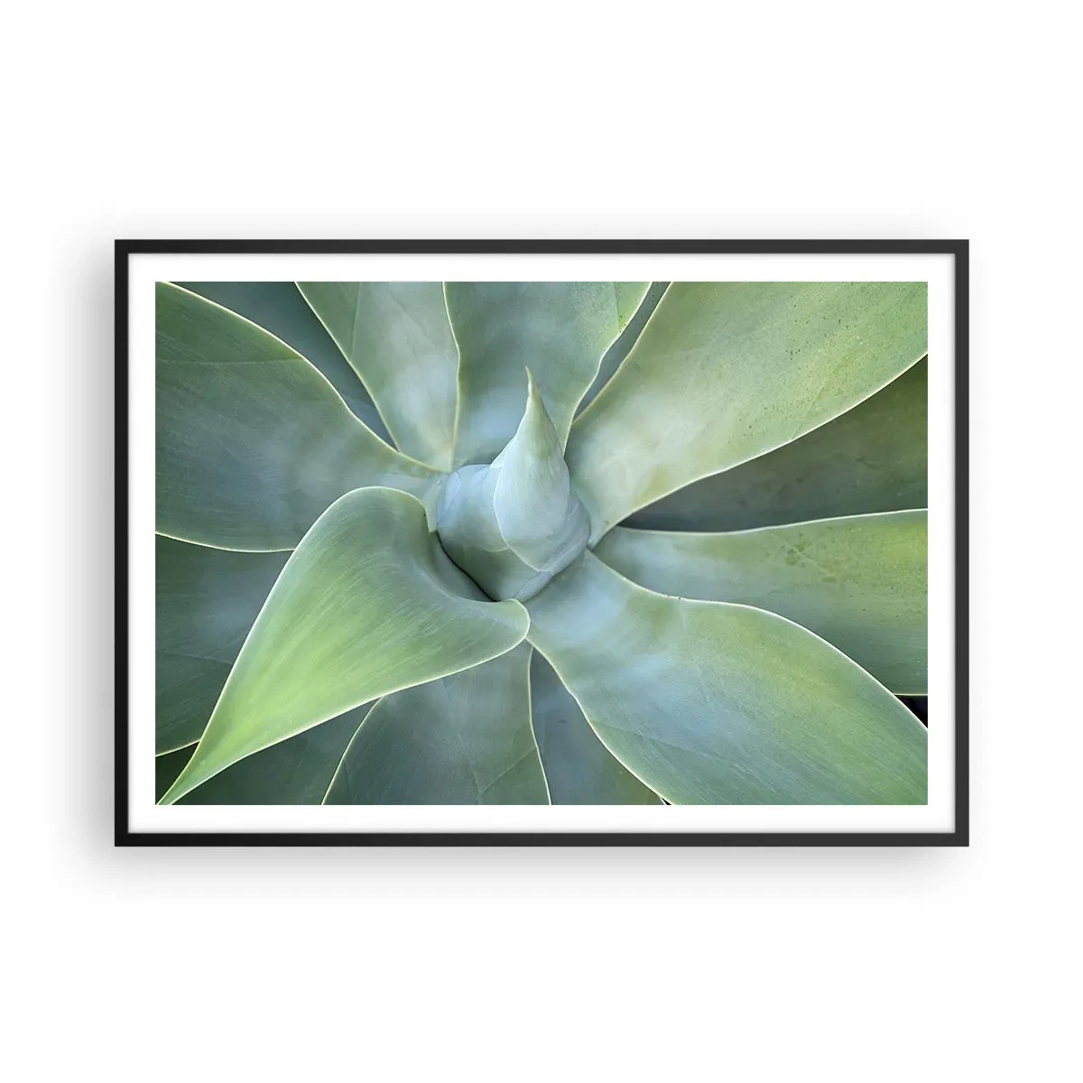 Póster en marco negro - Hojas sutiles de agave en tonos verdes. - 100x70cm - El nacimiento del verde - Decoración de pared moderna para salón y dormitorio ARTTOR