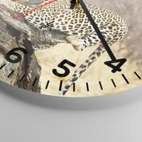 Esfera con numeración