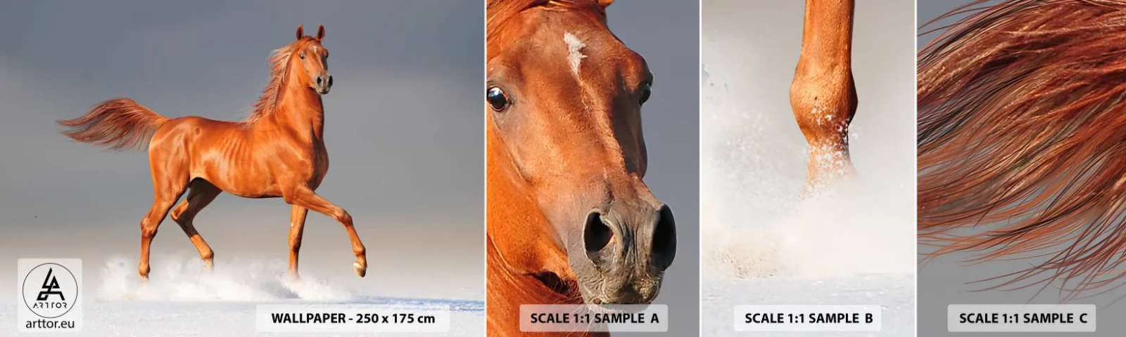 Muestra de fotomural autoadhesivo Deluxe Sticker - Danza al viento - animales, Caballo, Naturaleza - 100x30 cm