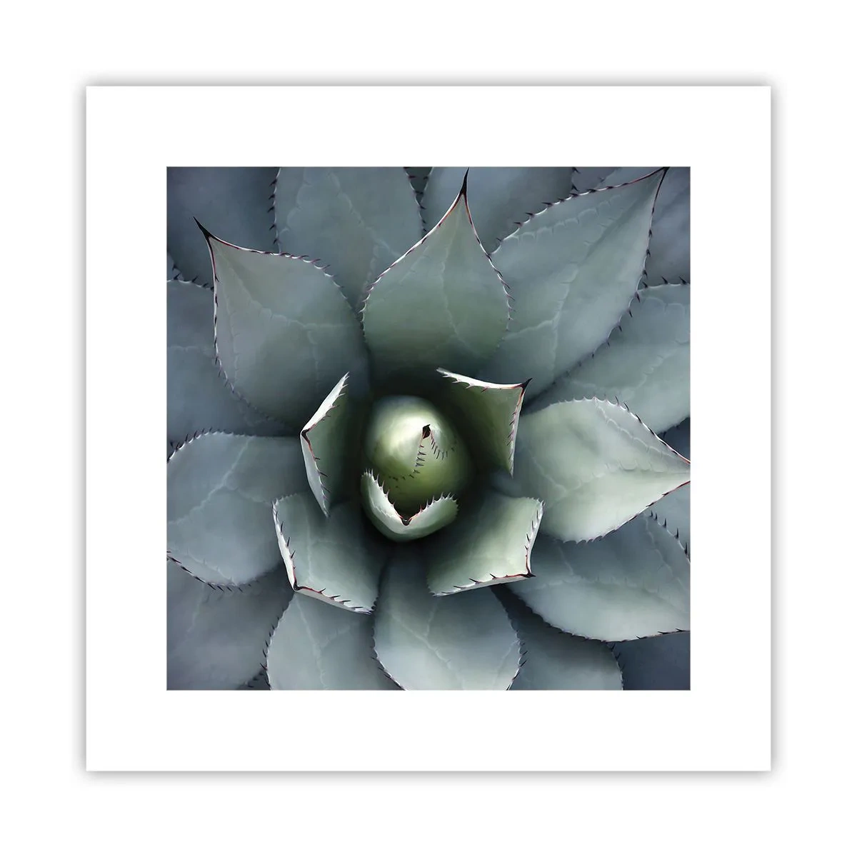 Póster - Perfección natural - 30x30 cm