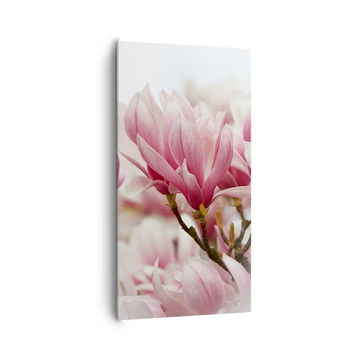 Cuadro sobre lienzo - Impresión de Imagen - Flores primaverales - 65x120 cm