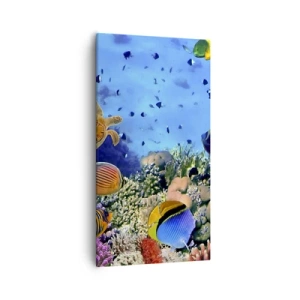 Cuadro sobre lienzo - Impresión de Imagen - Y qué sabemos de la vida... - 55x100 cm
