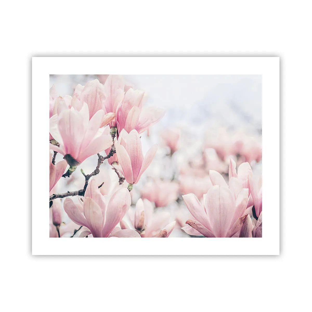 Póster - La perfección de la sutileza - 50x40 cm