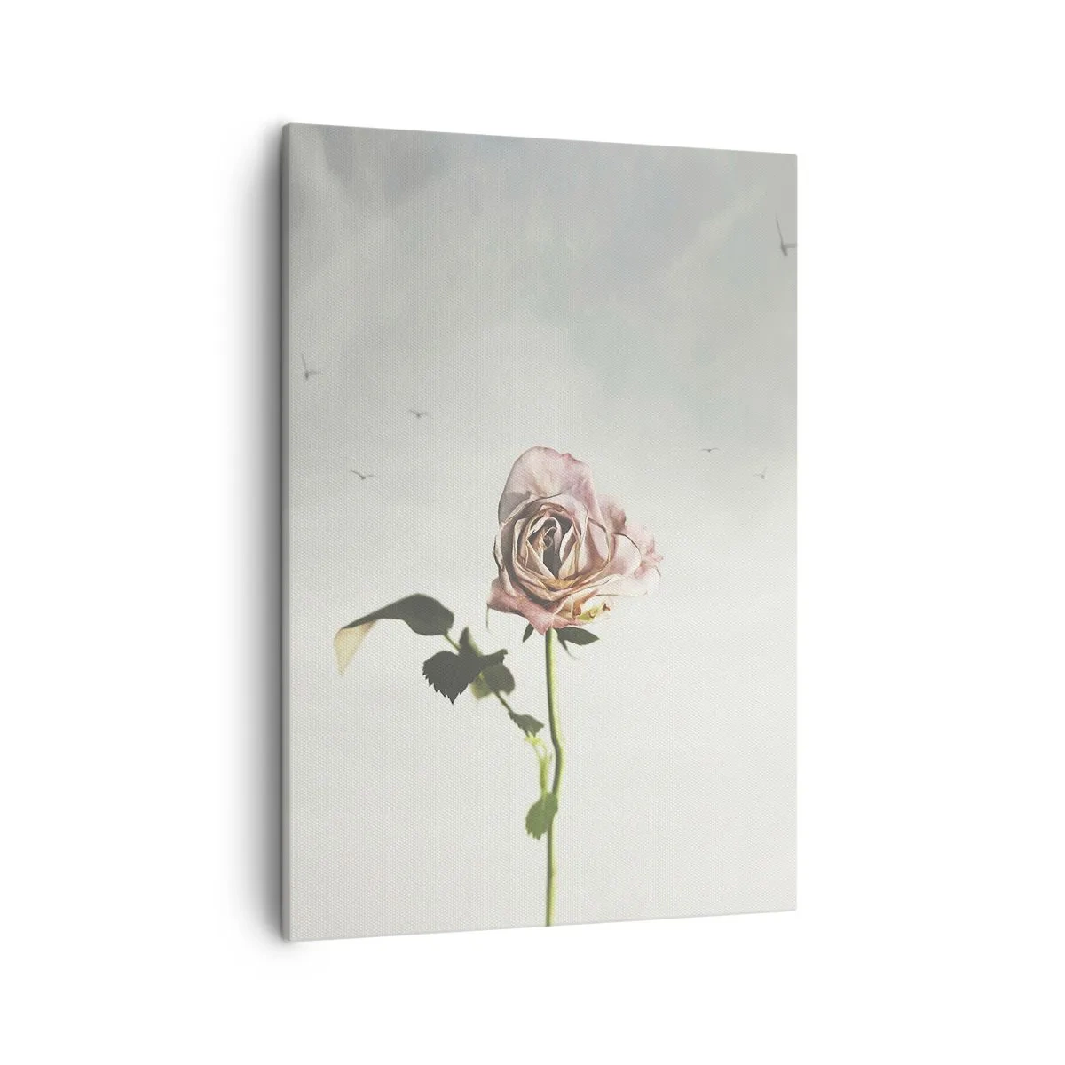 Cuadro sobre lienzo - Impresión de Imagen - Una delicada rosa contra un cielo brillante con pájaros volando. - 50x70cm - Bienvenida a la primavera - Decoración de pared moderna para salón y dormitorio ARTTOR