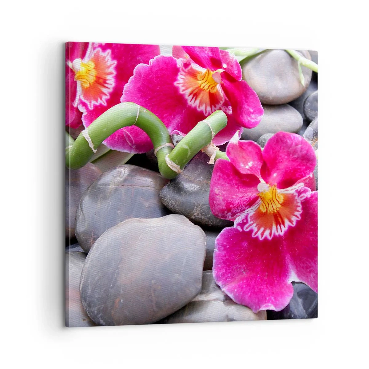 Cuadro sobre lienzo - Impresión de Imagen - Frío y calor - 60x60 cm