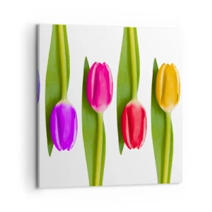 Cuadro sobre lienzo - Impresión de Imagen - Composición del arco iris - 50x50 cm