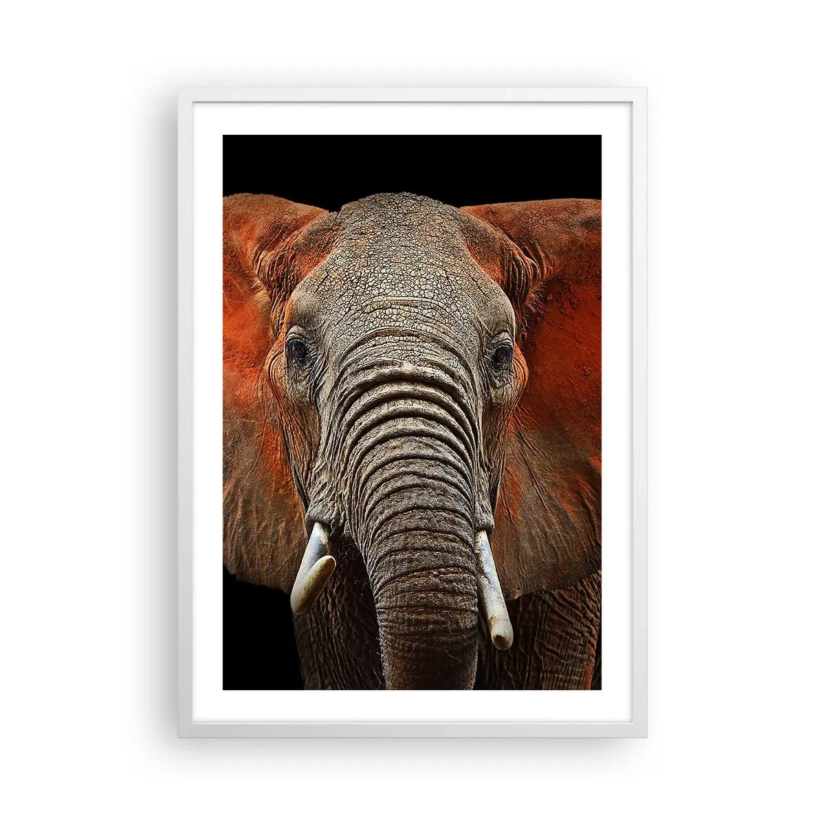 Póster en marco blanco - Soy salvaje, ¿y tú? - 50x70 cm