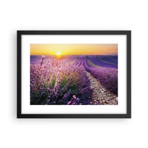 Póster en marco negro - Pradera fragante - 40x30 cm