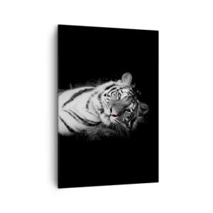 Cuadro sobre lienzo - Impresión de Imagen - Un tigre blanco representado artísticamente sobre un fondo negro. - 70x100cm - Salvaje y tranquilo - Decoración de pared moderna para salón y dormitorio ARTTOR