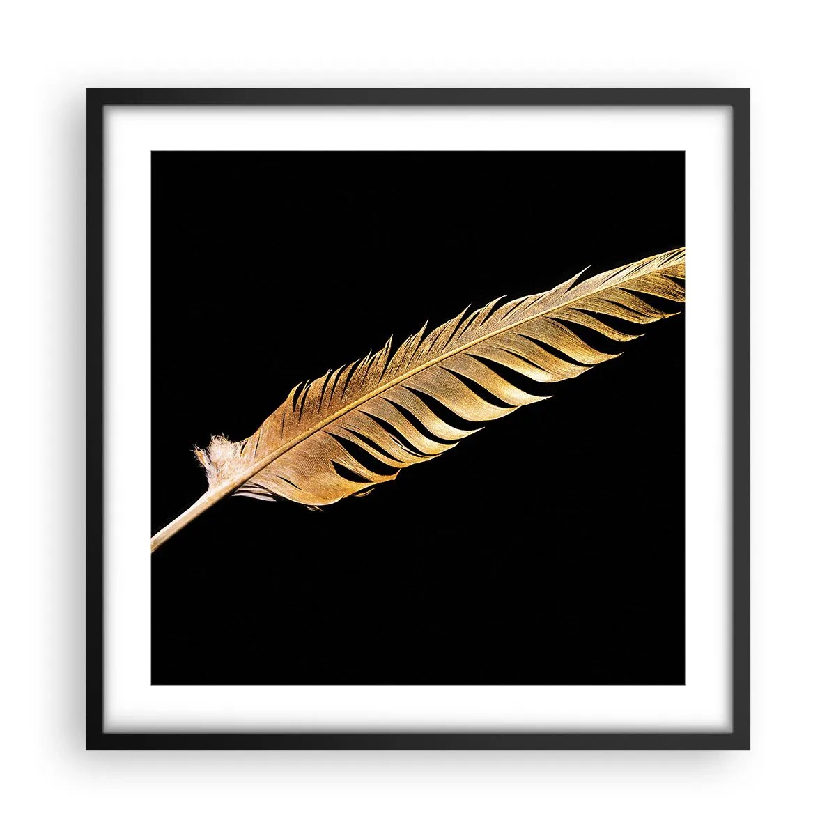 Póster en marco negro - Pluma de alta calidad - 50x50 cm