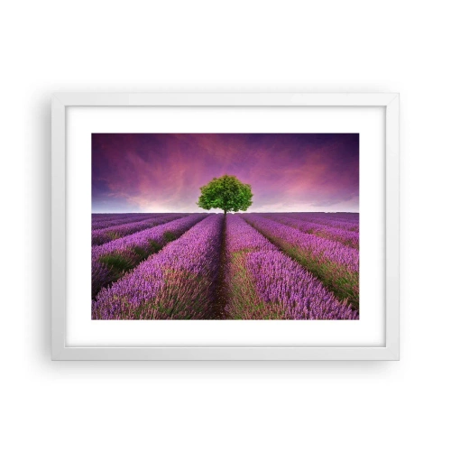 Póster en marco blanco - En los campos de lavanda - 40x30 cm