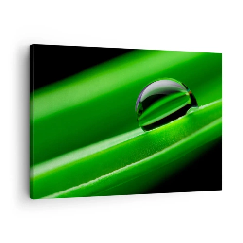 Cuadro sobre lienzo - Impresión de Imagen - Primer plano de una gota de rocío sobre una hoja verde - 70x50cm - La vida de cerca - Decoración de pared moderna para salón y dormitorio ARTTOR