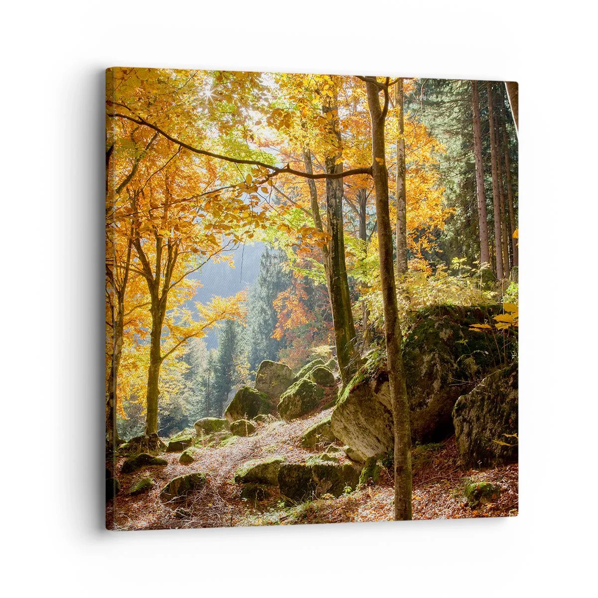 Cuadro sobre lienzo - Impresión de Imagen - Tiempo de descanso - 30x30 cm