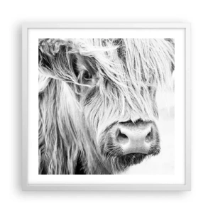 Póster en marco blanco - La naturaleza escocesa - 50x50 cm