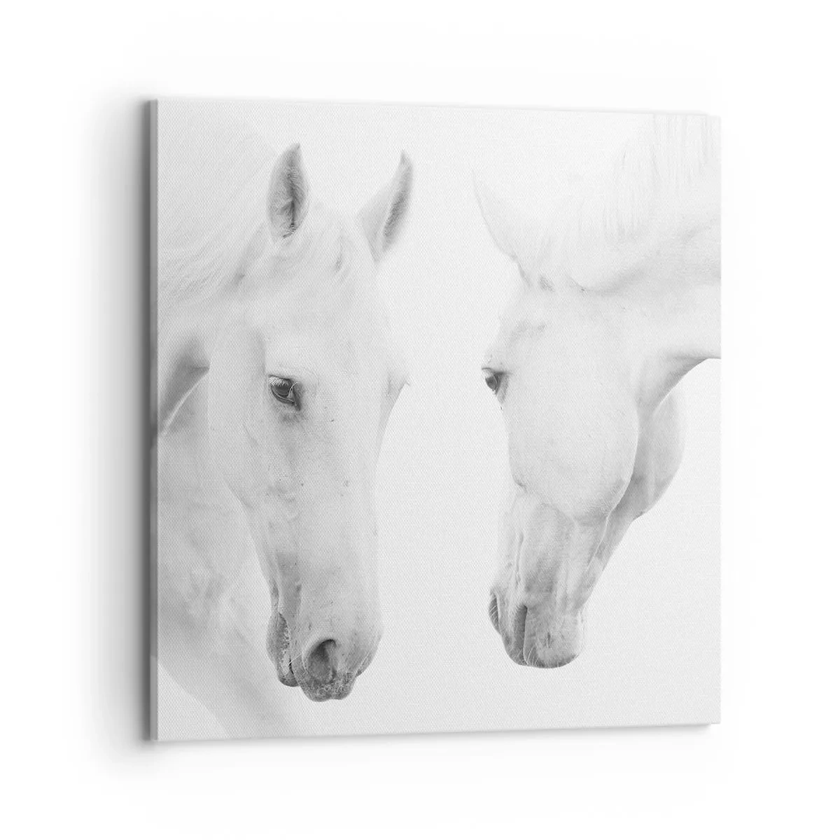 Cuadro sobre lienzo - Impresión de Imagen - ¿Es esto realmente la amistad...? - 70x70 cm