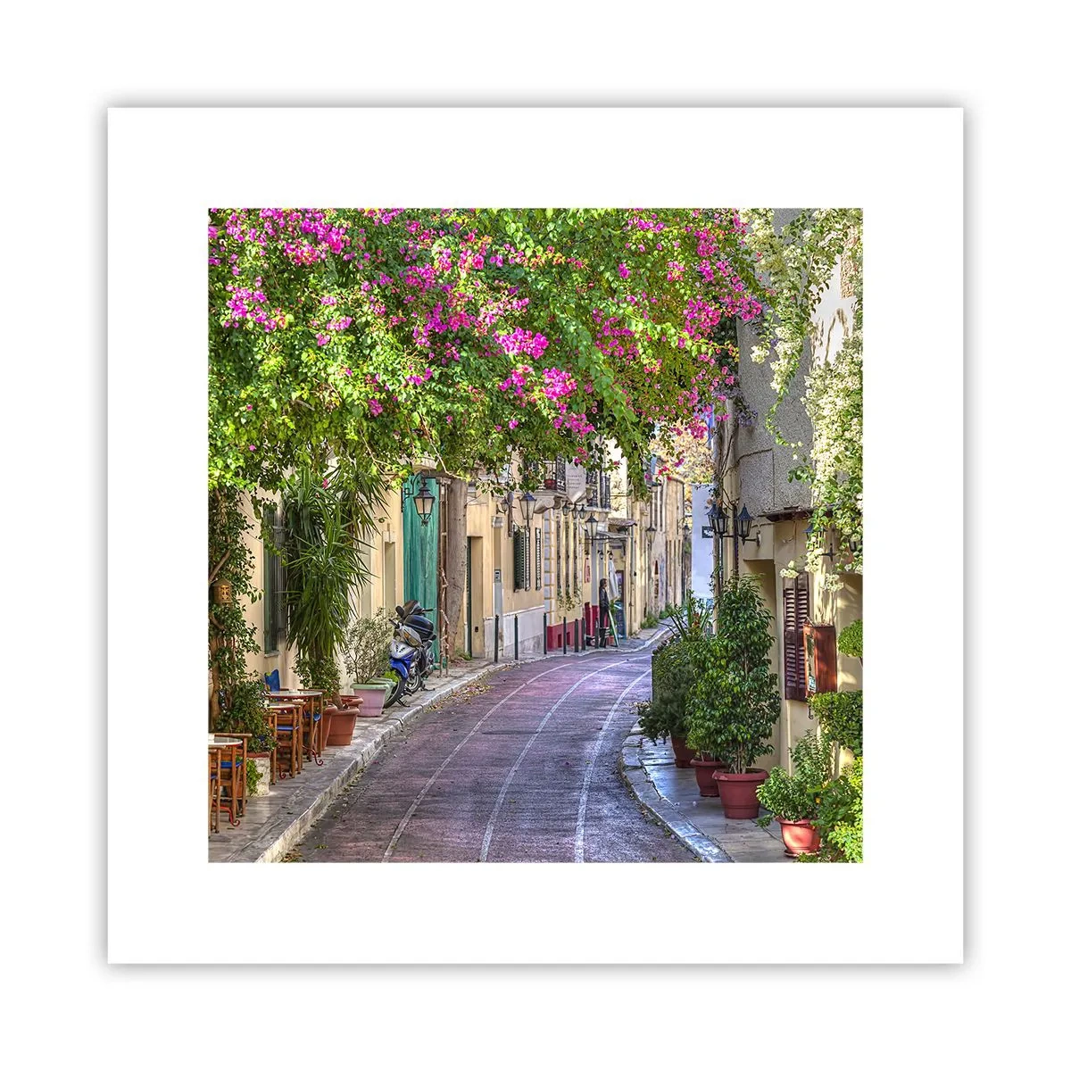 Póster - Un callejón floreciente - 30x30 cm